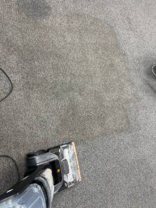 Office carpet steam cleaning in progress – extractor lifting dirt from gray carpet
