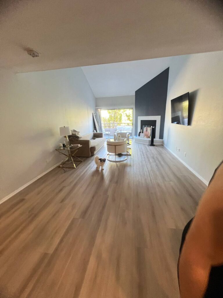 Spacious living room with wooden flooring, a small dog, sofa, TV, and large windows, after professional move-in cleaning