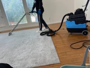 Professional carpet cleaning with vacuum equipment in Los Angeles home