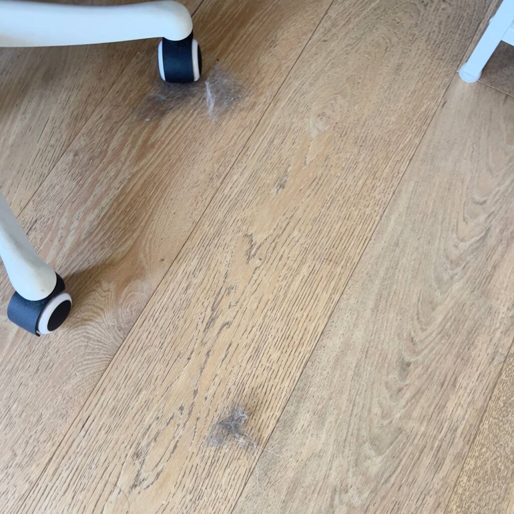 Pet hair on hardwood floor near furniture