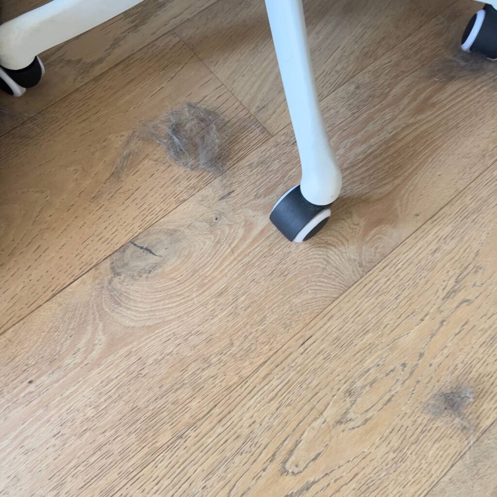 Pet hair on sofa upholstery