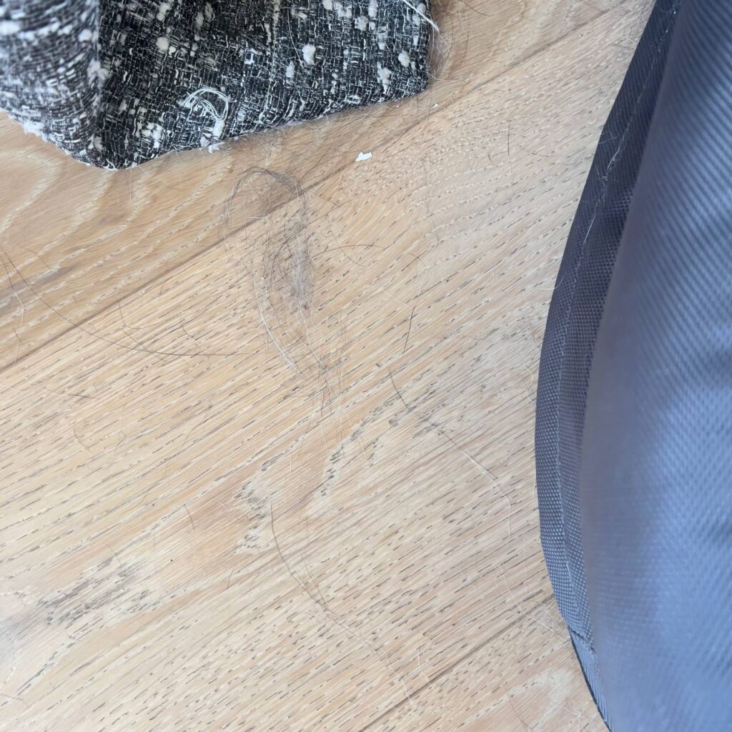 Pet hair on living room carpet