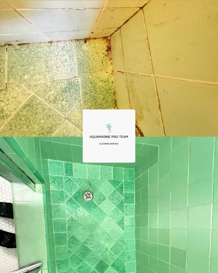 Mold removal before and after – Aquamarine Pro Team