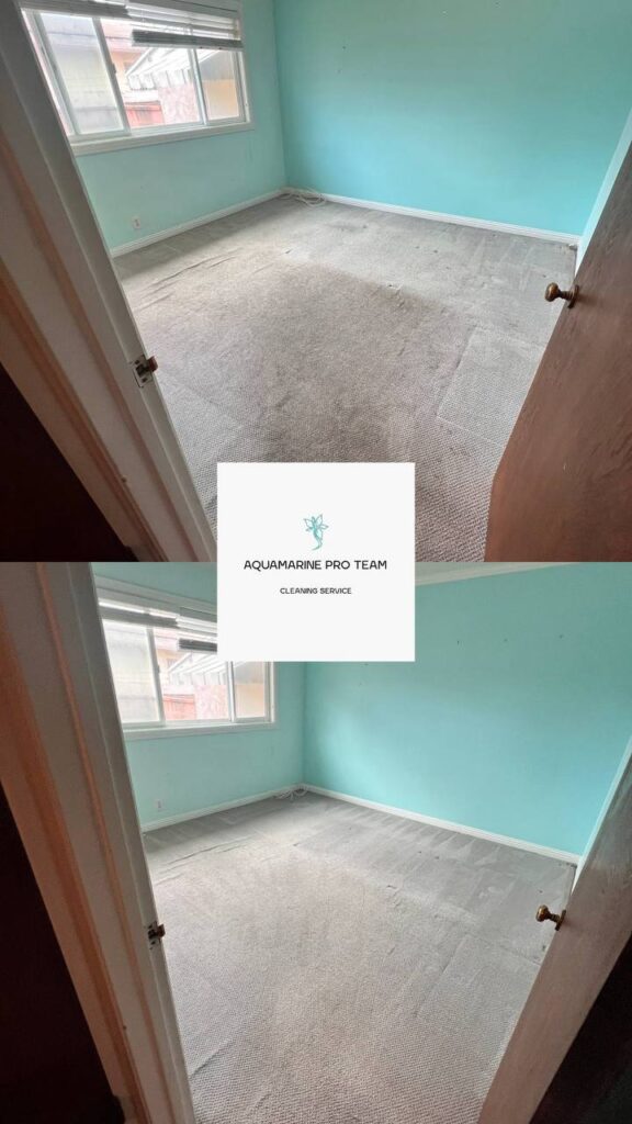 Aquamarine Pro Team carpet cleaning in Los Angeles – deep steam cleaning for spotless and fresh carpets.